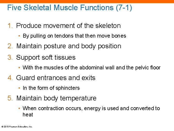 Five Skeletal Muscle Functions (7 -1) 1. Produce movement of the skeleton • By