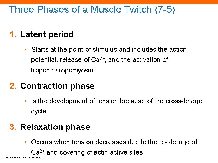 Three Phases of a Muscle Twitch (7 -5) 1. Latent period • Starts at