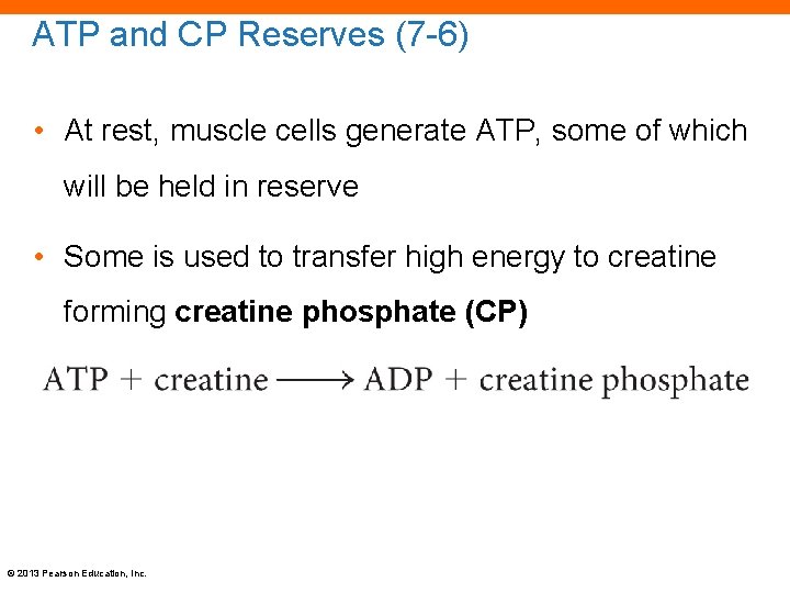 ATP and CP Reserves (7 -6) • At rest, muscle cells generate ATP, some