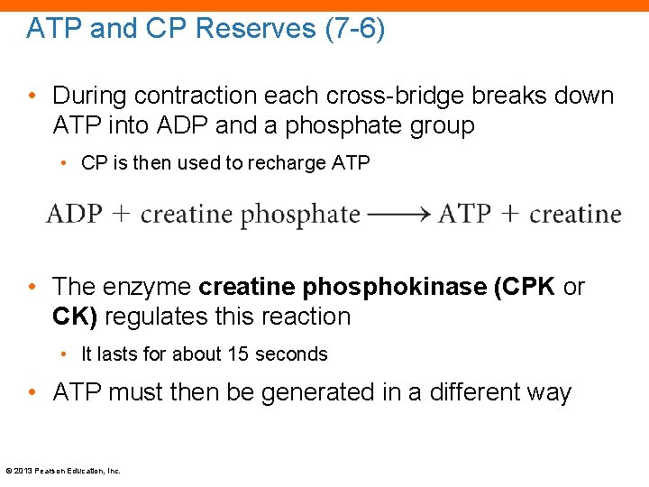 ATP and CP Reserves (7 -6) • During contraction each cross-bridge breaks down ATP