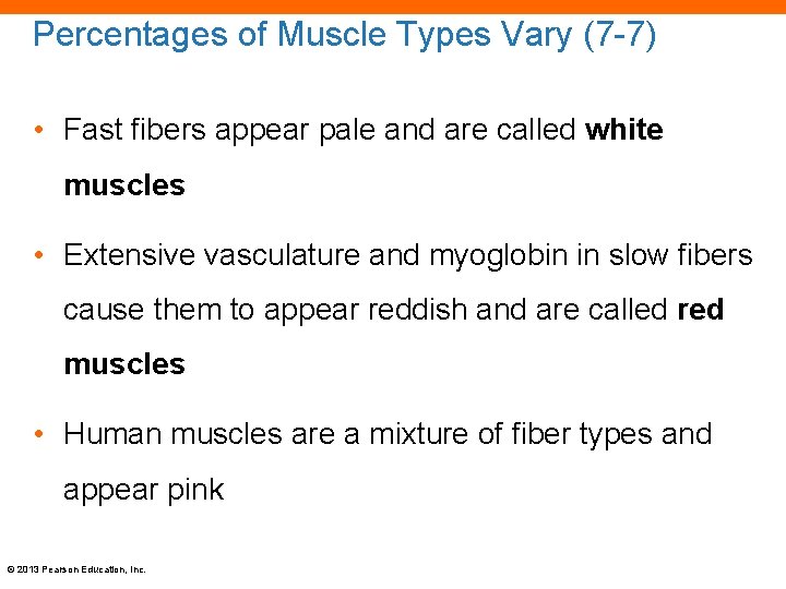 Percentages of Muscle Types Vary (7 -7) • Fast fibers appear pale and are