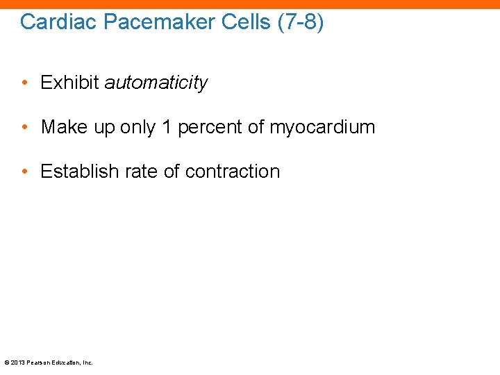 Cardiac Pacemaker Cells (7 -8) • Exhibit automaticity • Make up only 1 percent
