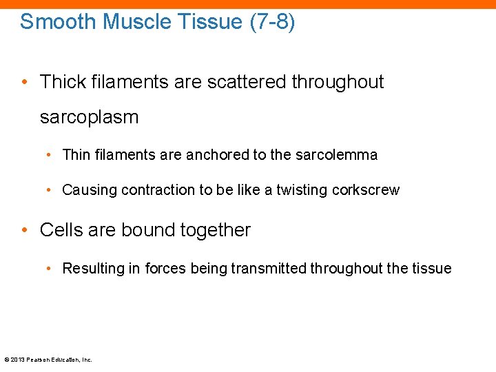 Smooth Muscle Tissue (7 -8) • Thick filaments are scattered throughout sarcoplasm • Thin