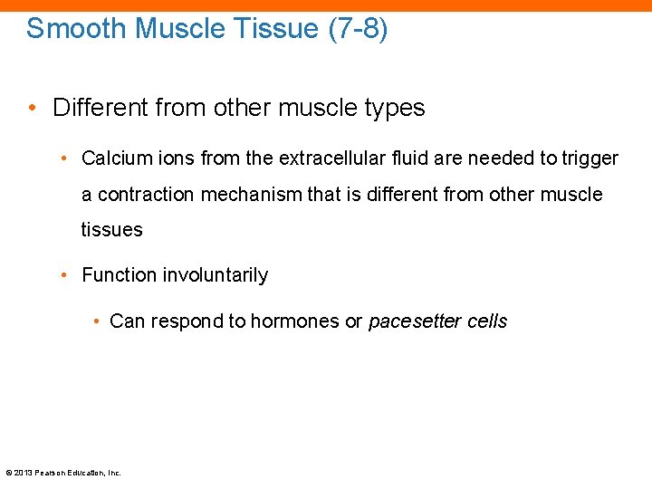 Smooth Muscle Tissue (7 -8) • Different from other muscle types • Calcium ions