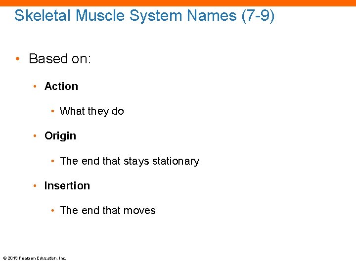 Skeletal Muscle System Names (7 -9) • Based on: • Action • What they