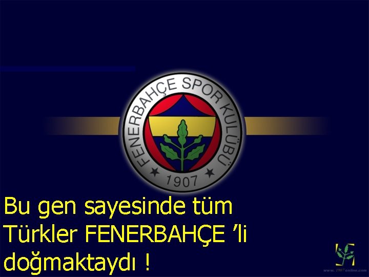 Bu gen sayesinde tüm Türkler FENERBAHÇE ’li doğmaktaydı ! 