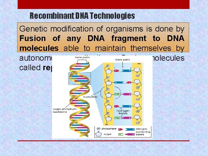 Recombinant DNA Technologies Genetic modification of organisms is done by Fusion of any DNA