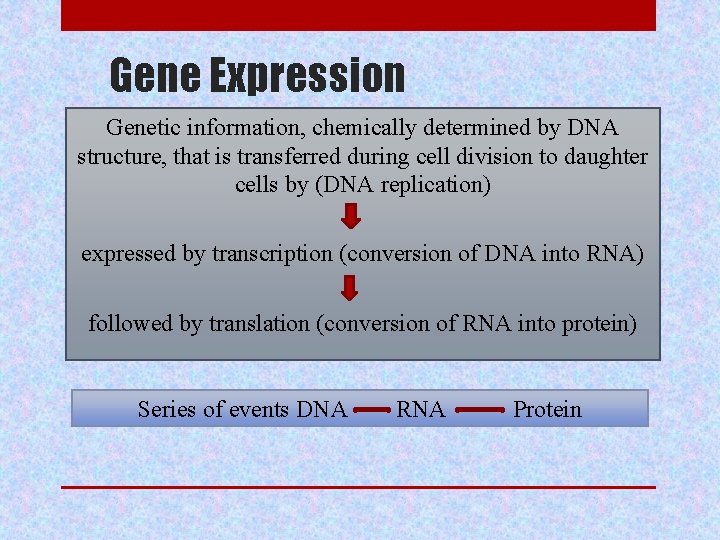 Gene Expression Genetic information, chemically determined by DNA structure, that is transferred during cell
