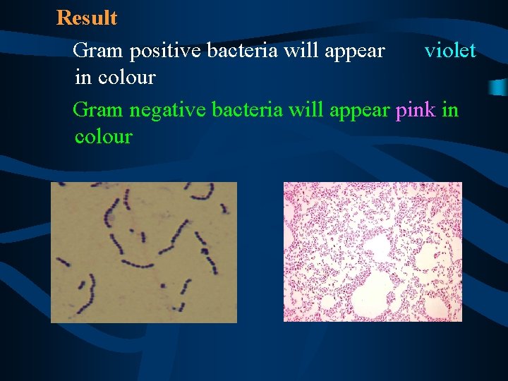 Result Gram positive bacteria will appear violet in colour Gram negative bacteria will appear
