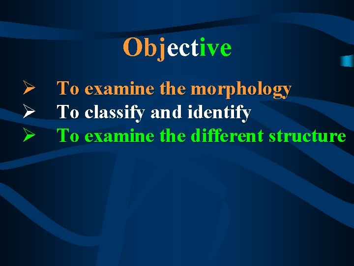Objective Ø To examine the morphology Ø To classify and identify Ø To examine