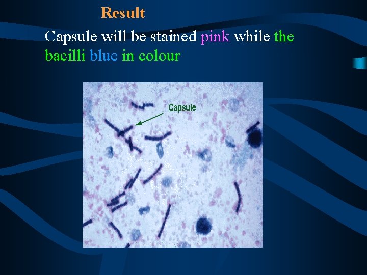  Result Capsule will be stained pink while the bacilli blue in colour 