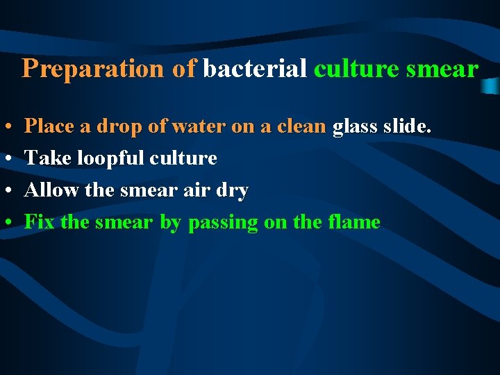 Preparation of bacterial culture smear • • Place a drop of water on a