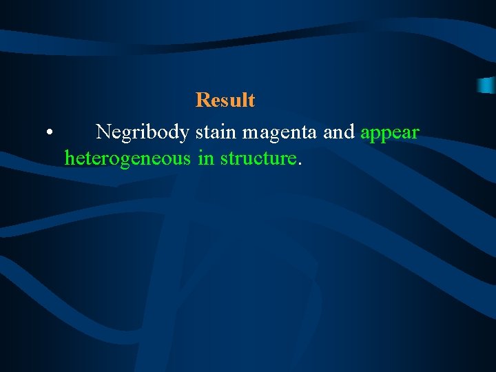Result • Negribody stain magenta and appear heterogeneous in structure. 