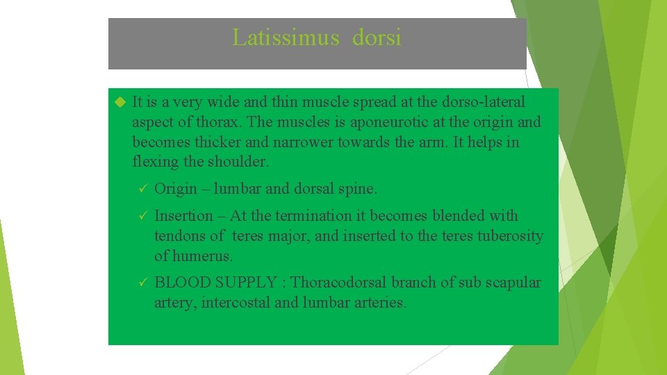 Latissimus dorsi It is a very wide and thin muscle spread at the dorso-lateral
