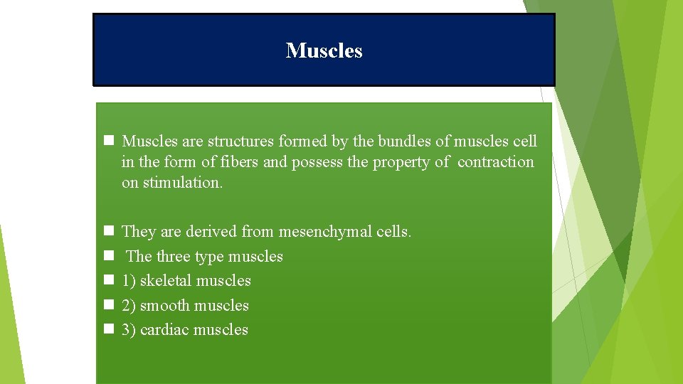 Muscles n Muscles are structures formed by the bundles of muscles cell in the