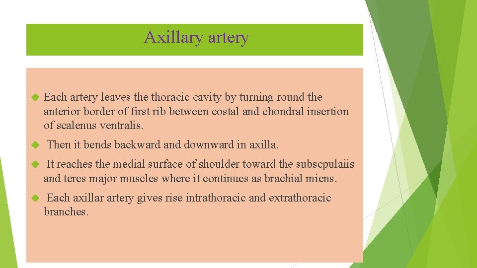 Axillary artery Each artery leaves the thoracic cavity by turning round the anterior border