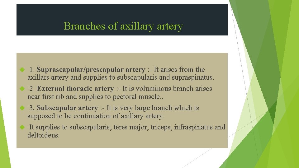 Branches of axillary artery 1. Suprascapular/prescapular artery : - It arises from the axillars