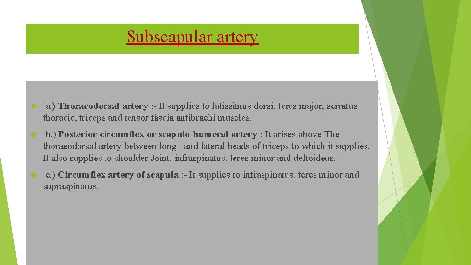 Subscapular artery a. ) Thoracodorsal artery : - It supplies to latissitnus dorsi. teres