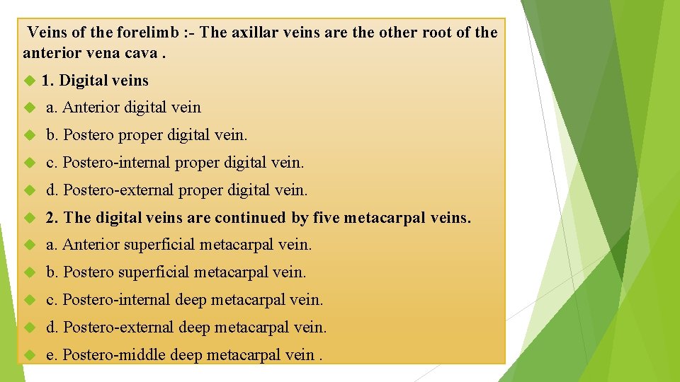 Veins of the forelimb : - The axillar veins are the other root of