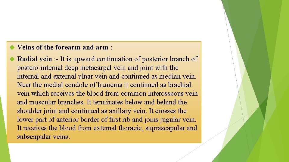  Veins of the forearm and arm : Radial vein : - It is