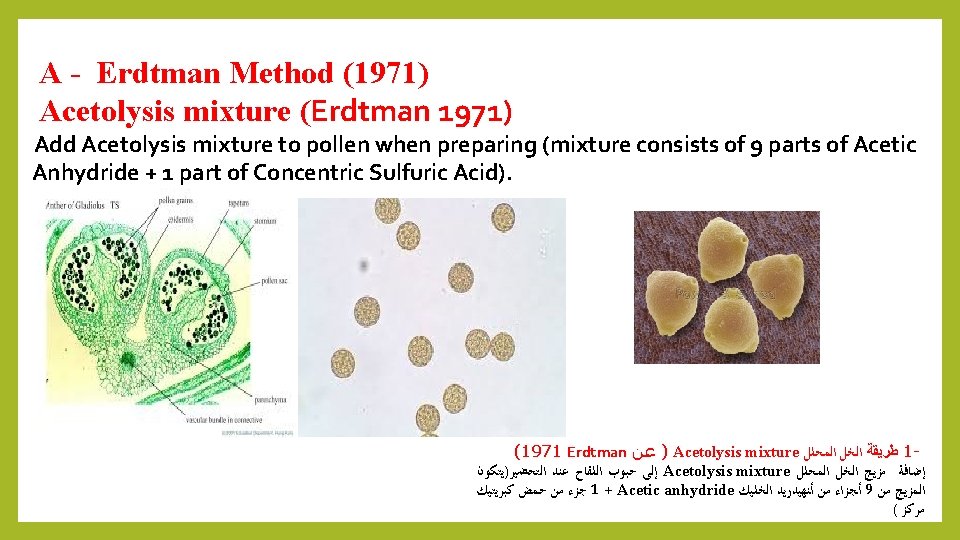 A - Erdtman Method (1971) Acetolysis mixture (Erdtman 1971) Add Acetolysis mixture to pollen