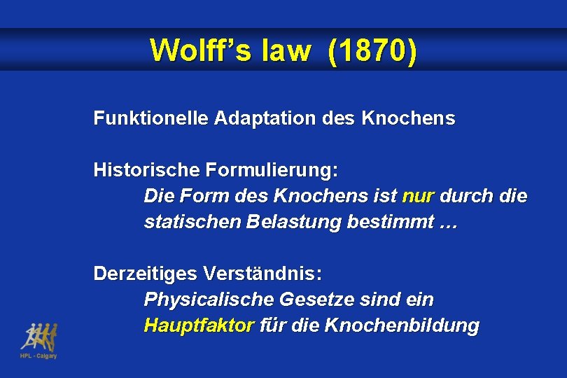 Wolff’s law (1870) Funktionelle Adaptation des Knochens Historische Formulierung: Die Form des Knochens ist