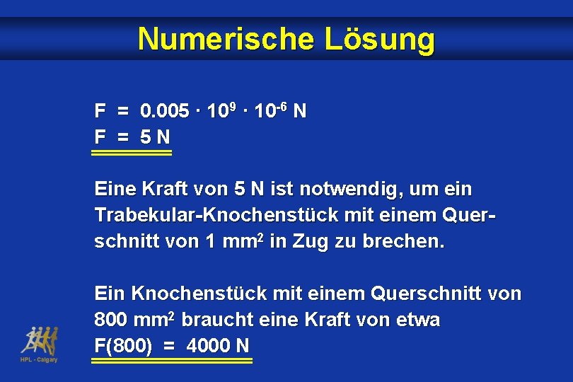Numerische Lösung F = 0. 005 · 109 · 10 -6 N F =