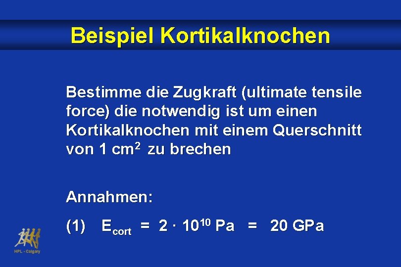 Beispiel Kortikalknochen Bestimme die Zugkraft (ultimate tensile force) die notwendig ist um einen Kortikalknochen