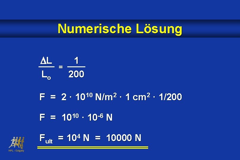 Numerische Lösung L Lo = 1 200 F = 2 · 1010 N/m 2