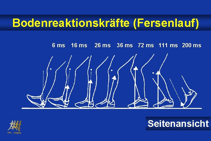 Bodenreaktionskräfte (Fersenlauf) 6 ms 16 ms 26 ms 36 ms 72 ms 111 ms