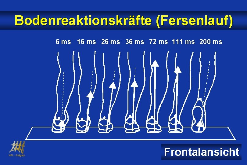 Bodenreaktionskräfte (Fersenlauf) 6 ms 16 ms 26 ms 36 ms 72 ms 111 ms