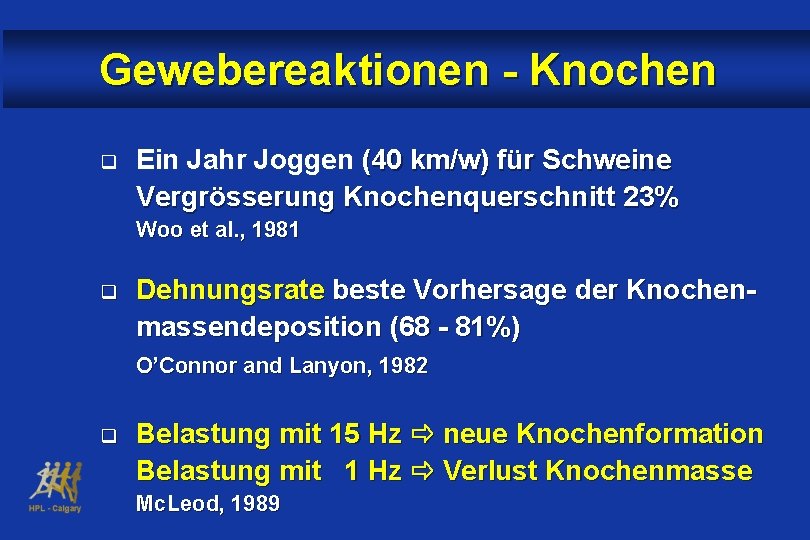 Gewebereaktionen - Knochen q Ein Jahr Joggen (40 km/w) für Schweine Vergrösserung Knochenquerschnitt 23%