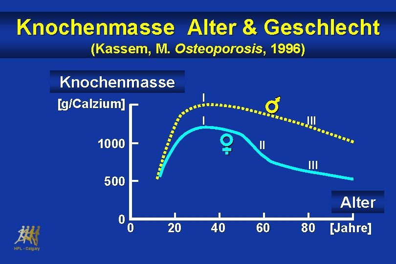 Knochenmasse Alter & Geschlecht (Kassem, M. Osteoporosis, 1996) Knochenmasse [g/Calzium] I I III 1000