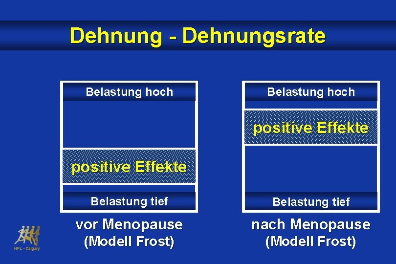 Dehnung - Dehnungsrate Belastung hoch positive Effekte Belastung tief vor Menopause nach Menopause (Modell