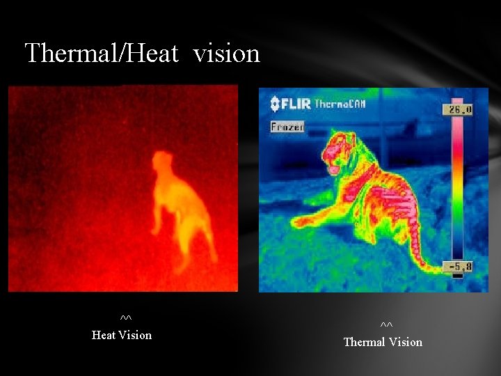 Thermal/Heat vision ^^ Heat Vision ^^ Thermal Vision 