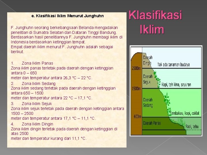 e. Klasifikasi Iklim Menurut Junghuhn F. Junghuhn seorang berkebangsaan Belanda mengadakan penelitian di Sumatra