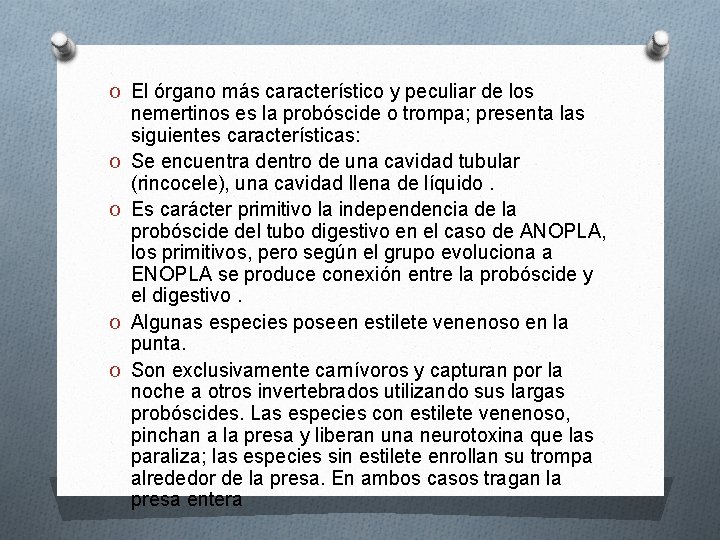 O El órgano más característico y peculiar de los O O nemertinos es la