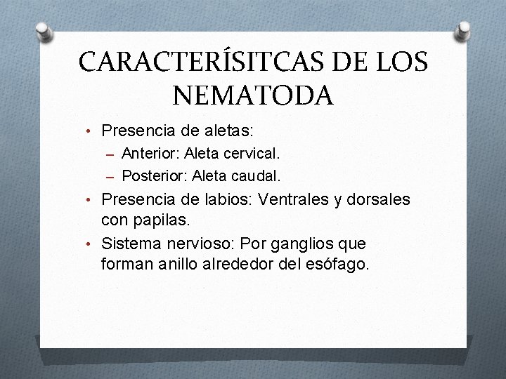 CARACTERÍSITCAS DE LOS NEMATODA • Presencia de aletas: – Anterior: Aleta cervical. – Posterior: