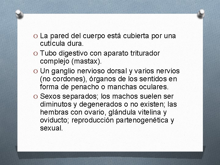 O La pared del cuerpo está cubierta por una cutícula dura. O Tubo digestivo