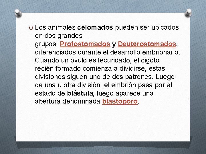 O Los animales celomados pueden ser ubicados en dos grandes grupos: Protostomados y Deuterostomados,