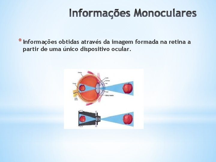 * Informações obtidas através da imagem formada na retina a partir de uma único