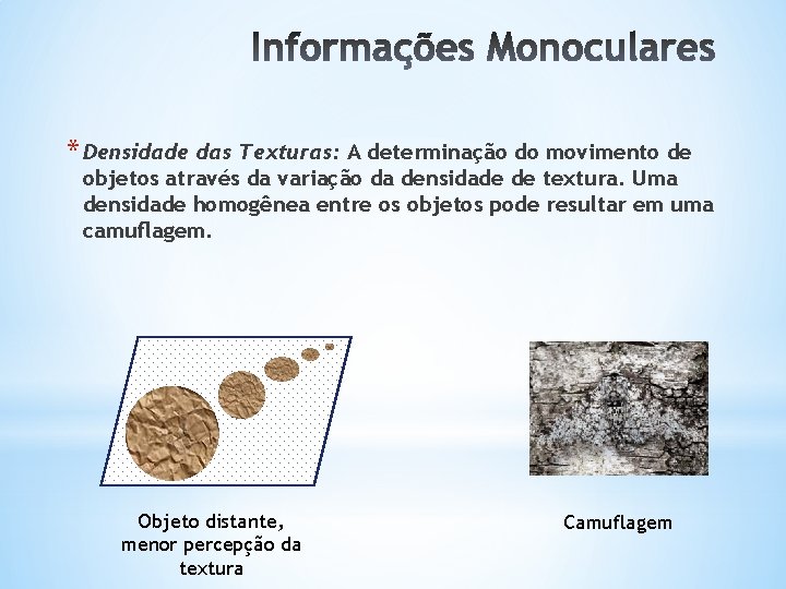 * Densidade das Texturas: A determinação do movimento de objetos através da variação da