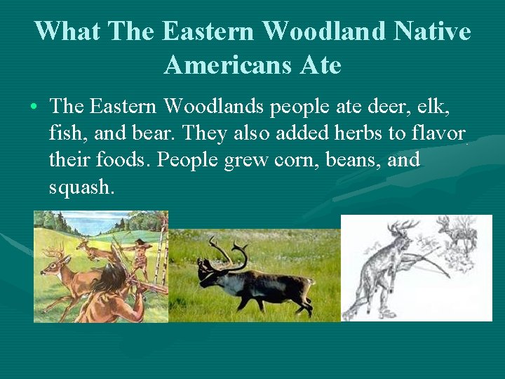 What The Eastern Woodland Native Americans Ate • The Eastern Woodlands people ate deer,