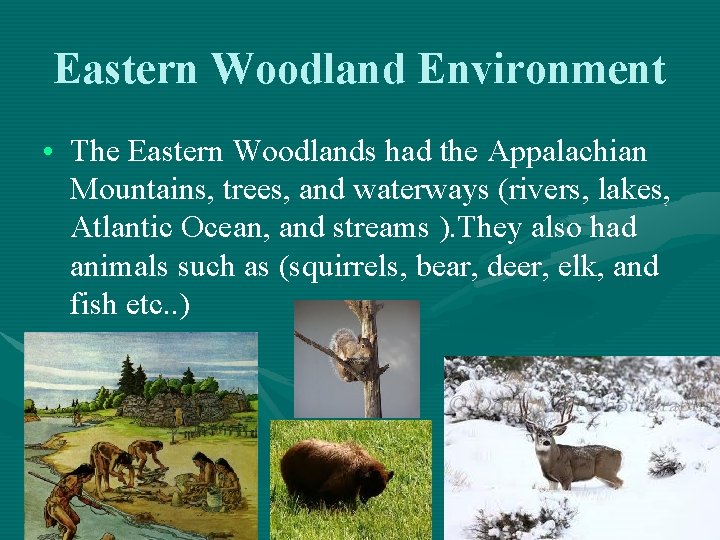 Eastern Woodland Environment • The Eastern Woodlands had the Appalachian Mountains, trees, and waterways