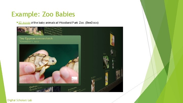 Example: Zoo Babies ▶ 3 D movie of the baby animals at Woodland Park