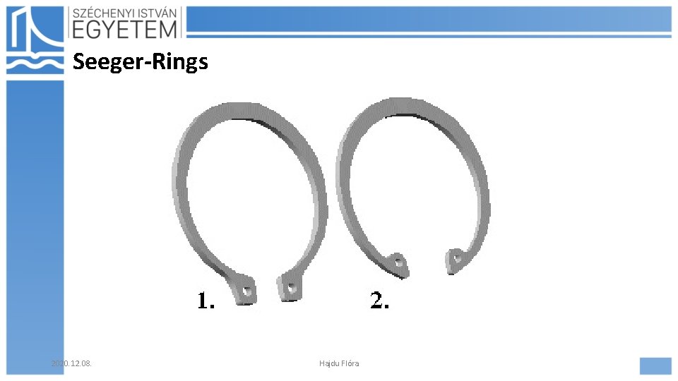 Seeger-Rings 2020. 12. 08. Hajdu Flóra Seeger-Rings 2020. 12. 08. Hajdu Flóra