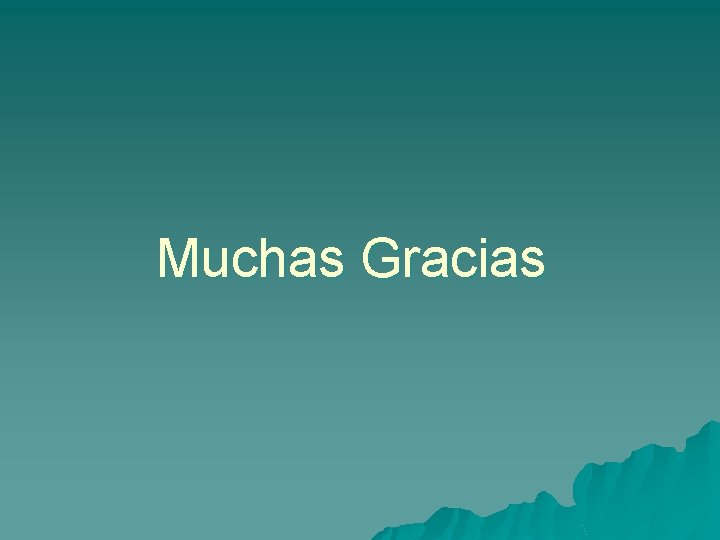 Muchas Gracias 