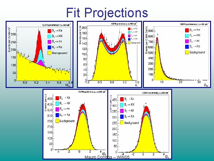 Fit Projections Mauro Donega – WIN 05 