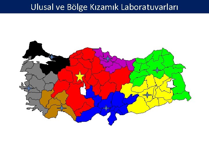 Ulusal ve Bölge Kızamık Laboratuvarları 