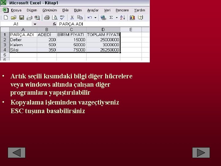  • Artık seçili kısımdaki bilgi diğer hücrelere veya windows altında çalışan diğer programlara